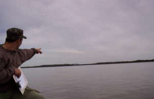 Ilha Brasileira